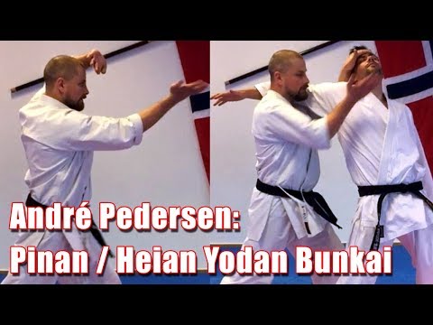 Pinan / Heian Yodan Bunkai with André Pedersen.