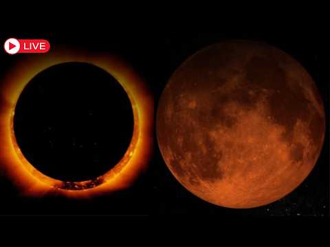 LIVE Blood Moon 2026: LIVE View of Total Lunar Eclipse from Europe, Africa, Asia, Australia