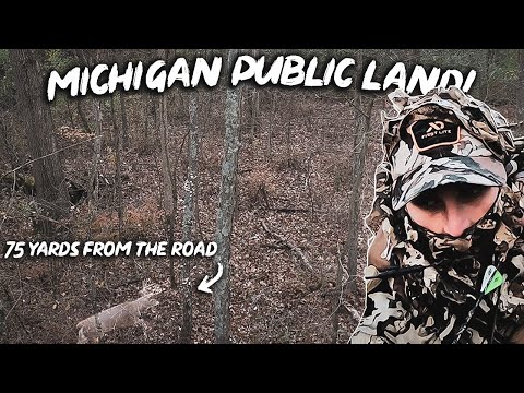 MICHIGAN Public Land Buck 75 YARDS FROM THE ROAD!!