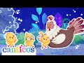 Los Pollitos Dicen Pío Pío Pío Canción Infantil Y De Cuna Dormir Y Relajar Kids Rhyme Canticos