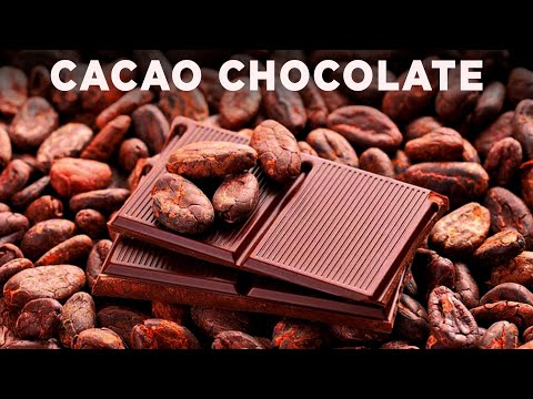 Cacao Hot Chocolate