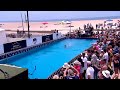 Dog Sports: Diving Dog and Dock Jumping Competition