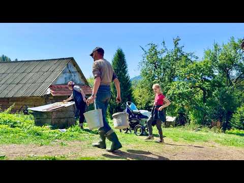 Mountain Village Sharm and 2 more