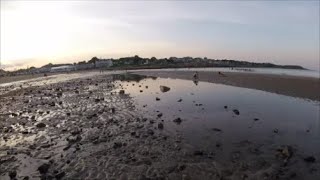 Beach Metal Detecting First Silver coin this year!