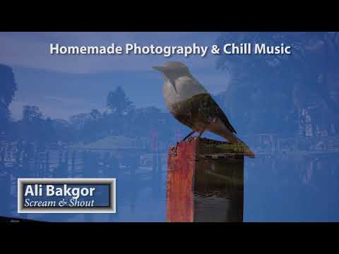 Ali Bakgor - Scream & Shout