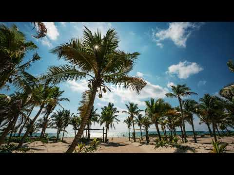 Jamek Ortega, Maxi Meraki, Samm (BE) - Don't Care Anymore