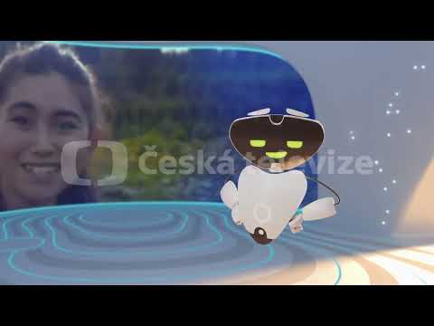 Náhled pro video reference