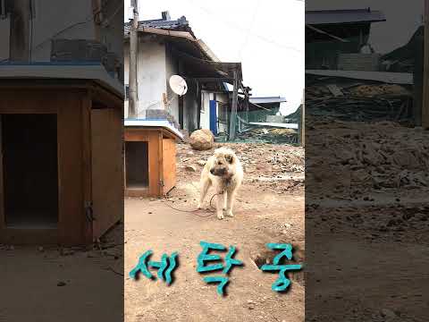 [SNS직원서포터즈] 산성면 화전2리 이동세탁
