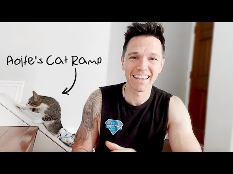 Aoife's Cat Ramp