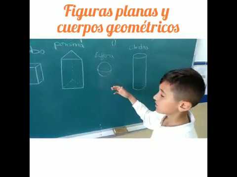 Figuras planas y cuerpos geométricos