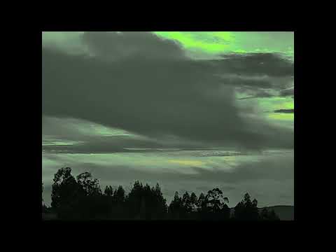 Manhã no Salgueiral