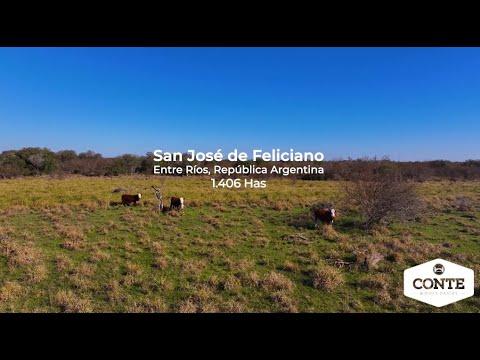 Conte Bienes Raices - San José de Feliciano 1406 Has