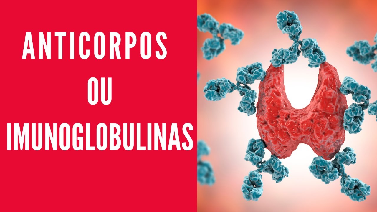 IMUNOGLOBULINAS OU ANTICORPOS