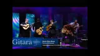 Stevie Ray Blues - Tommy Emmanuel