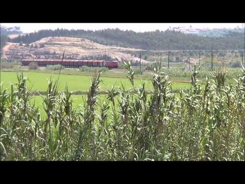 Comboio nº 68361 " Fontela " - Bifurcação de Lares