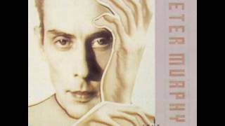 Peter Murphy - His Circle And Hers Meet (1988)