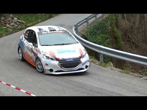 Clip video BARBIERI TIRONE  5° Rally 2 Laghi 2018