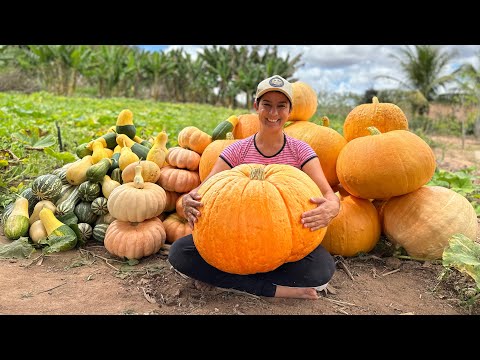 I planted Giant Pumpkins, I wonder if she gives recipes?!