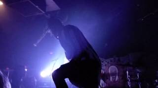 Davey Suicide - Too Many Freaks - 3/30/17