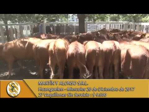 20-12-17 Venta de Vientres - Martin y Alonso S.R.L. - Huanguelen.