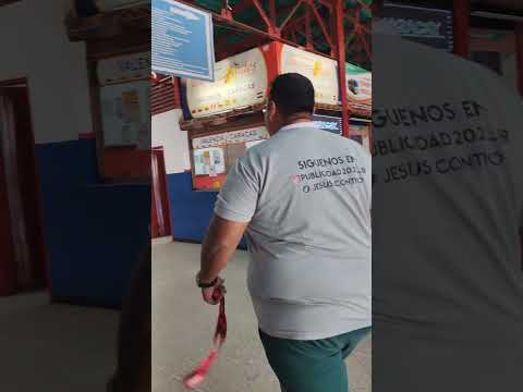 Terminal de la frontera en San Antonio del Táchira #frontera #tuamigoenlafrontera #noticias