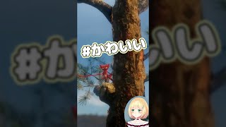 【にじさんじ】結んだりほどいたりするアキくん【公式切り抜き / 鈴谷アキ】#Shorts