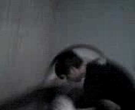 LA SUPER WEBADA DE OJEDA