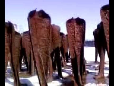 Agora Chicago (Magdalena Abakanowicz)
