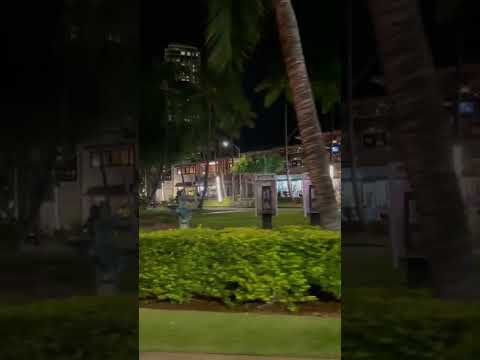 Evening Scene at Waikiki #short