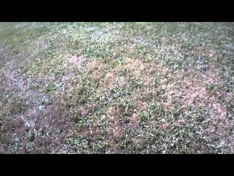 AR.Drone 2.0 Video: 2015/10/10