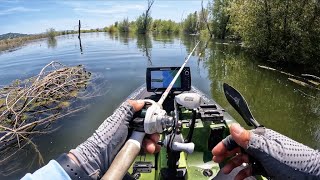A Topwater fishing day to remember