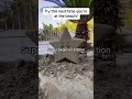 How to make Mario Star out of sand