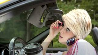 Oingo Boingo-Grey Matter (Lyrics) Darwin Awards Edition