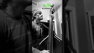 Alive - Nekromantix (Upright Bass Cover)