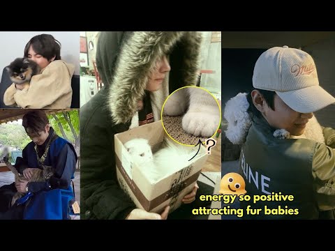 Can't help but adore Kim Taehyung's sincere love for every furry friend😍 He has a pure soul!!