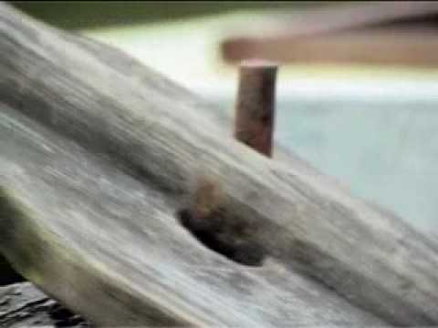 Tereza Salgueiro "Por este Rio acima" MATRIZ com Lusitânia Ensemble