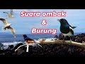 SUARA BURUNG MURAI Dan OMBAK PANTAI BUAT PANCINGAN 15