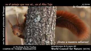preview picture of video 'Un año en Peralejos de las Truchas (WCFN & Ibérica 2000)'