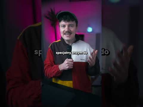 Pandy to żart ewolucji. Jak to zwierzę w ogóle przetrwało? (re-upload, 24.12.2024)