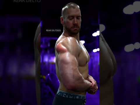 The BEST Upper Body Exercises