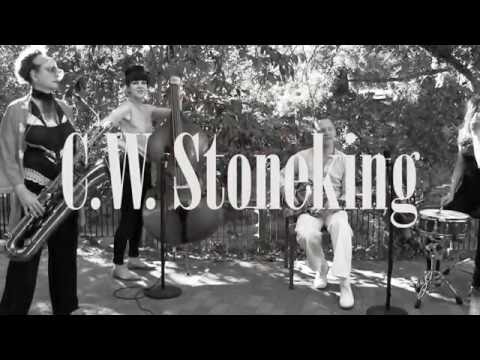 Goin Back South - C.W. Stoneking