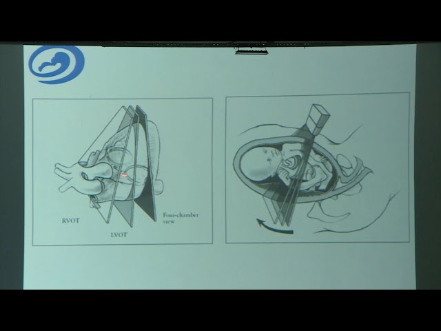 Медицинская наука