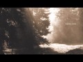 Nebelung - Wanderer 
