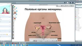 Женское здоровье. Ароматерапия.