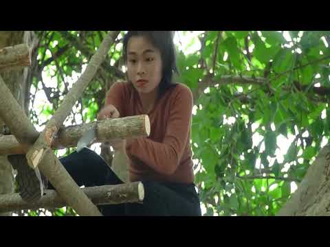 🌿 30 Days Solo Camping Adventure: Foraging, Bushwalking & Living Off the Land 🌳🔥 #Survival