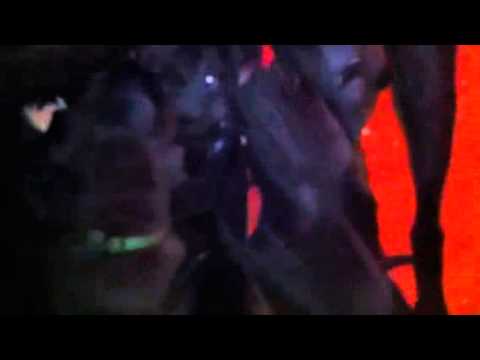 Unsere deutsche Doggen Welpen