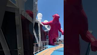 Highlight Activity Quantum Of The Sea 🛳️ #cruiseship #holiday #cruise #funny #familyvlog #travel