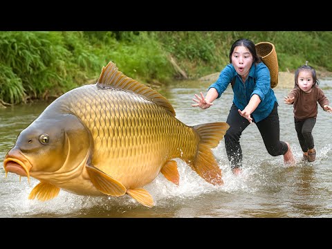 Catching 200kg Monster Carp & Giant Catfish by Hand to Sell at the Market, Cooking Fish for Family