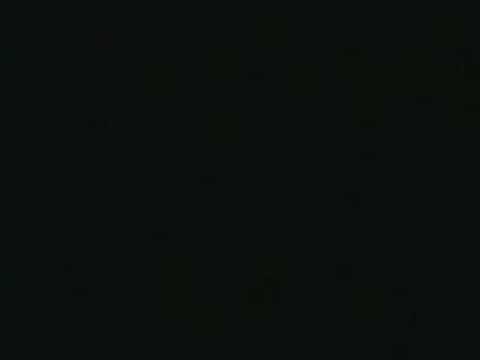 Brothers Quay - Sparklehorse - Dog door