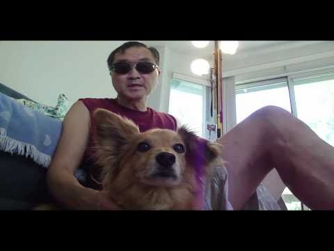 Nerd and Dog Kick Ass Part 2